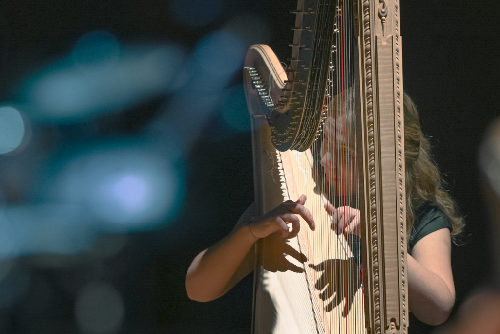 Celtic Tales Quartet on tour